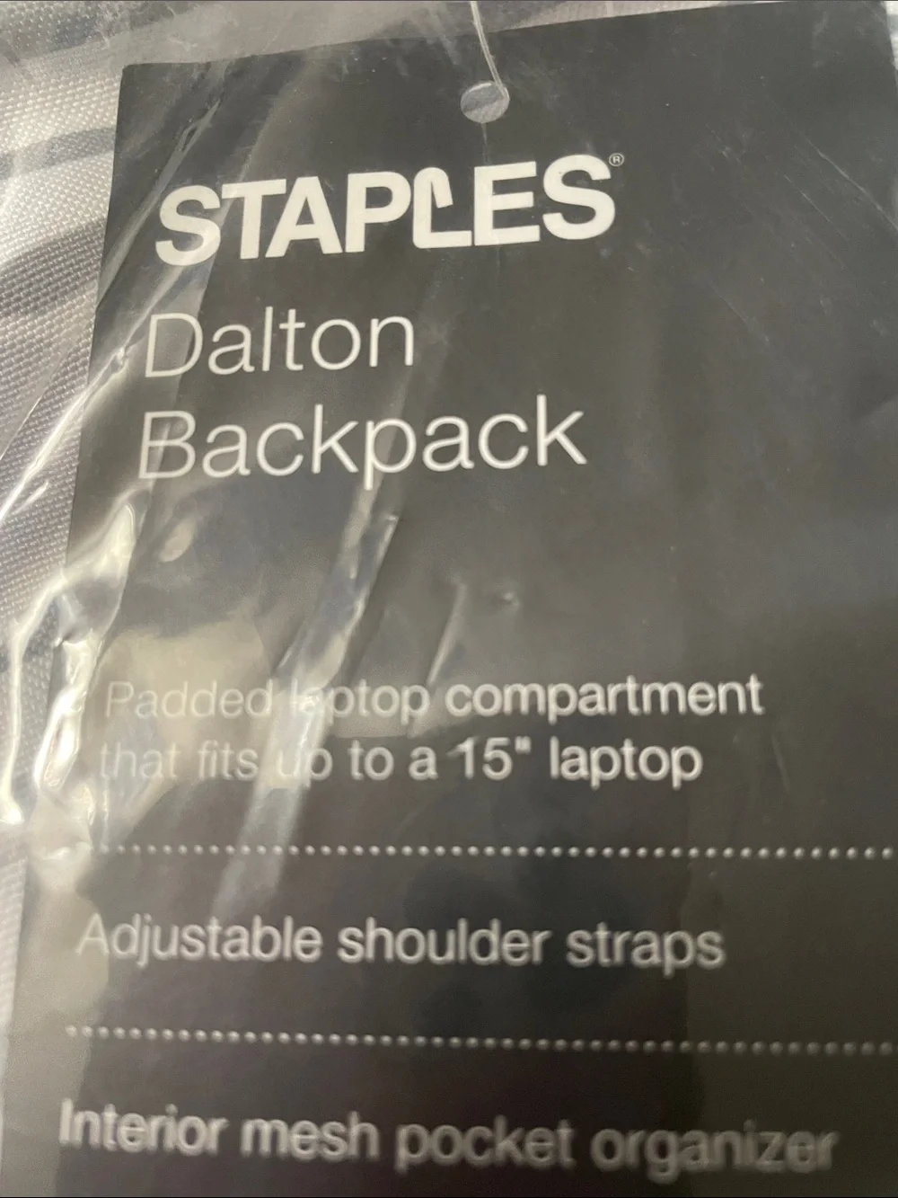 Staples Dalton Backpack with Blue and White Eye Print
